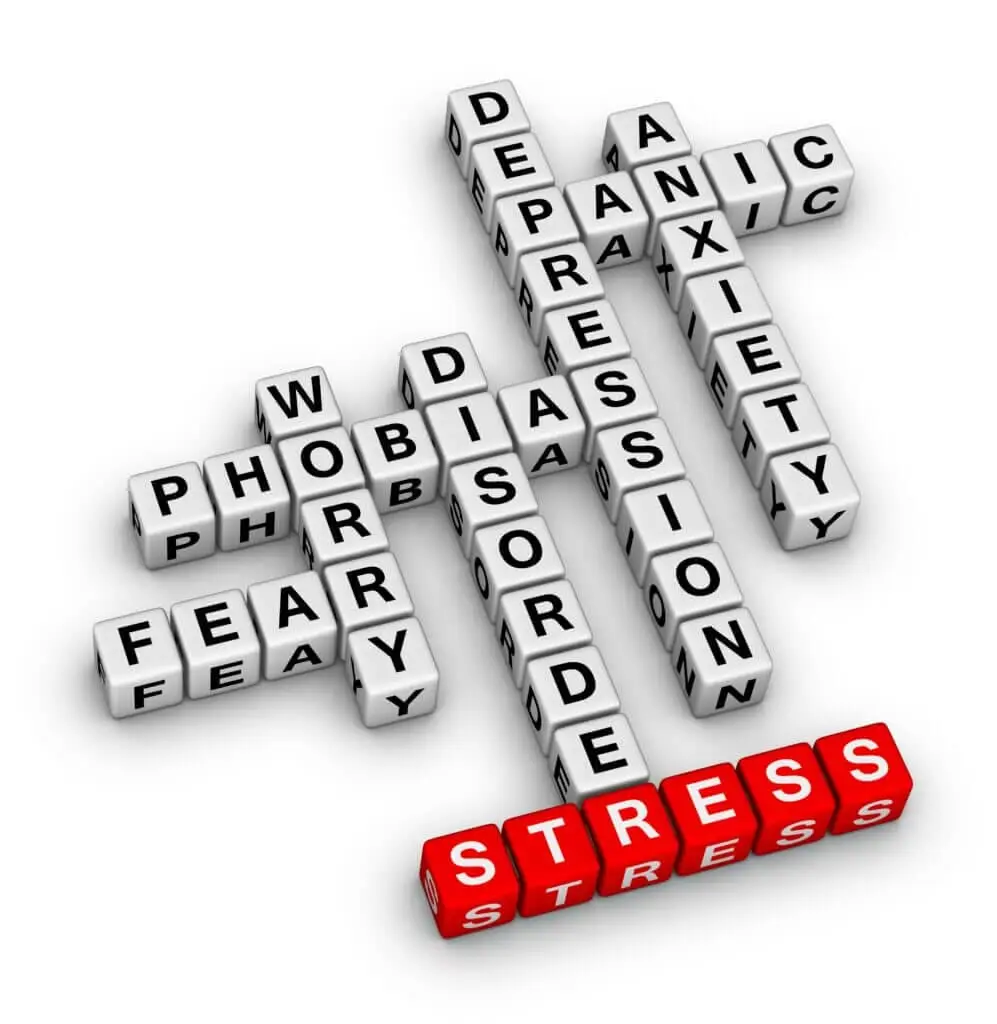 3D crossword puzzle with mental health terms like stress, anxiety, depression, phobia
