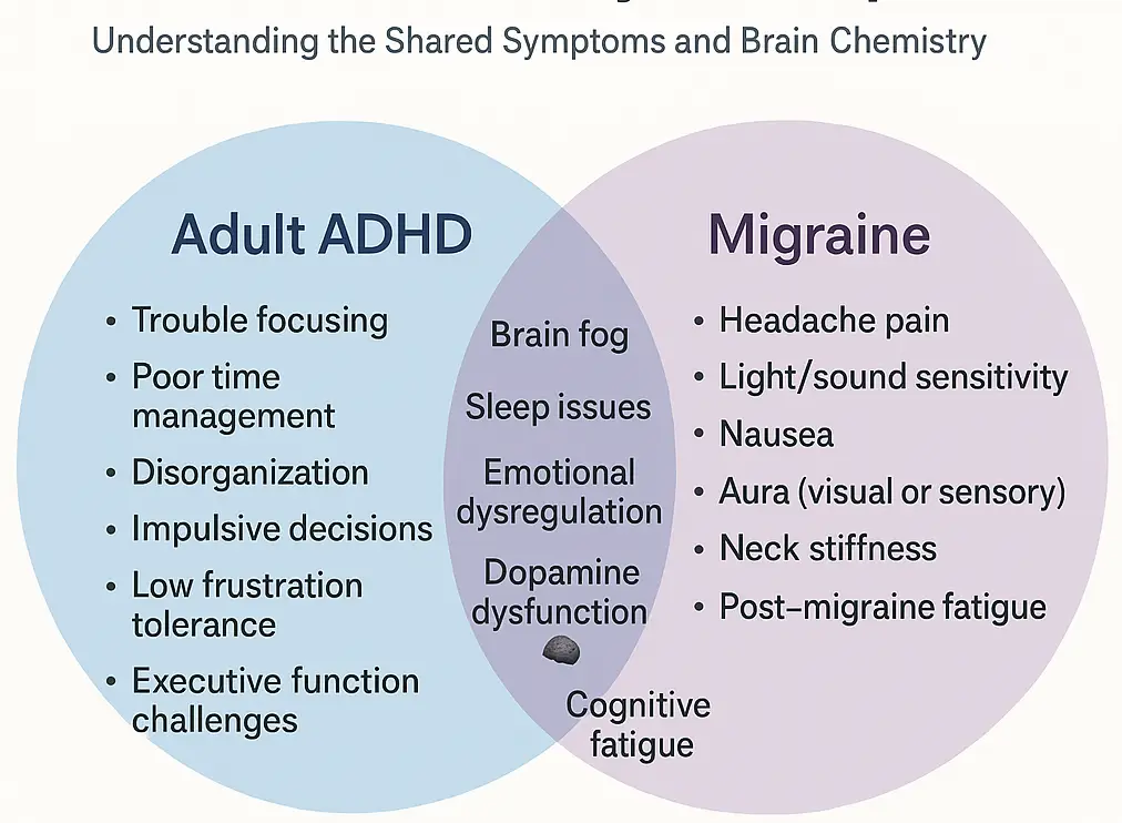Infographic showing overlapping symptoms and brain function issues in ADHD and migraine