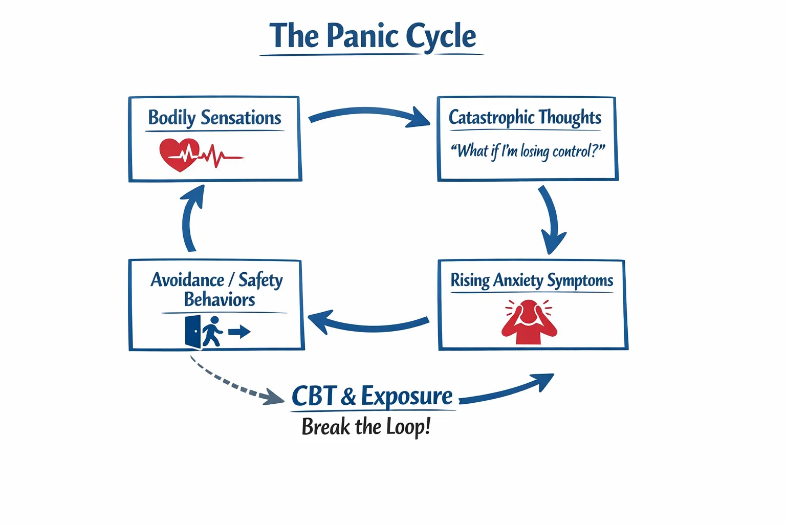A simple diagram of the panic cycle showing bodily sensations, catastrophic thoughts, rising anxiety symptoms, and avoidance/safety behaviors looping back, with a note that CBT and exposure break the loop.
